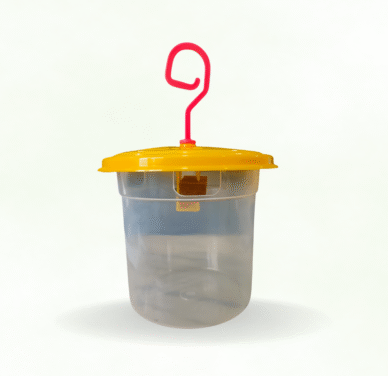 CHLOROPHYLL FLY TRAP