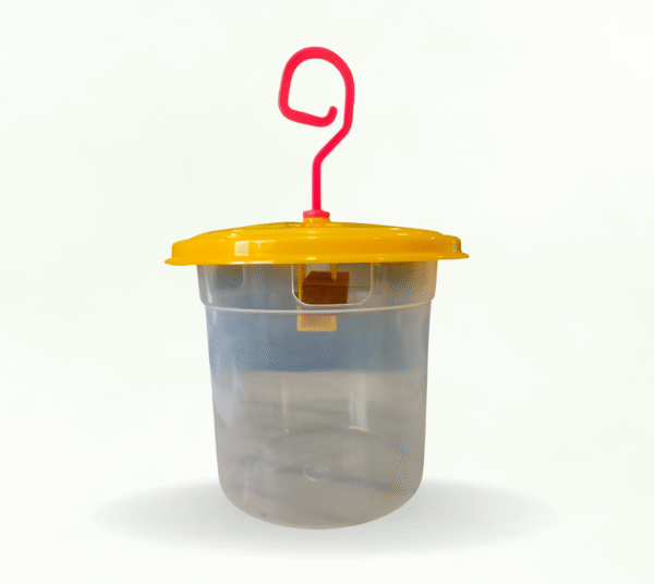 CHLOROPHYLL FLY TRAP