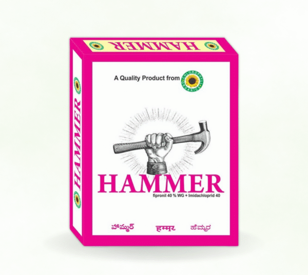 HAMMER